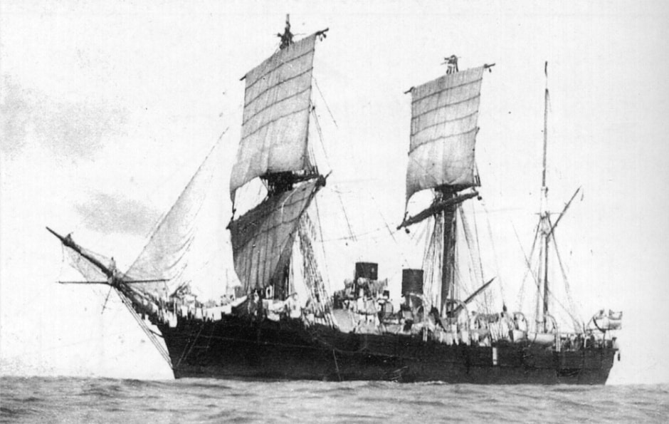 Миклухо-Маклай и Кусто 7.jpg