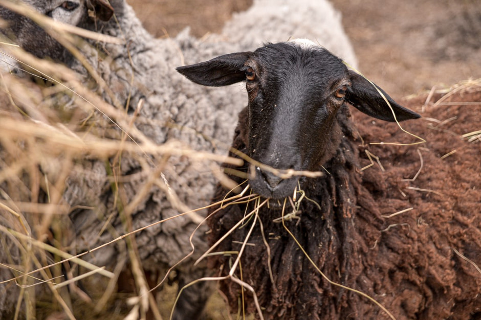 Герои Смартпресс 14.jpg