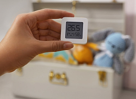 Чем опасен сухой воздух в квартире и как с ним бороться? Ученый объяснил