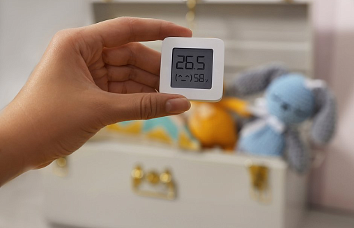 Чем опасен сухой воздух в квартире и как с ним бороться? Ученый объяснил