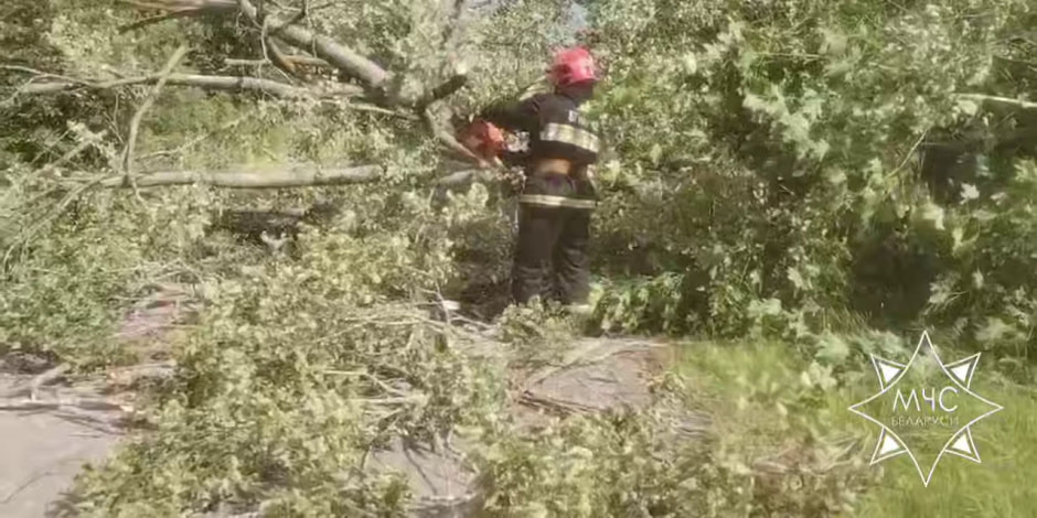 ветер в июне3.jpg