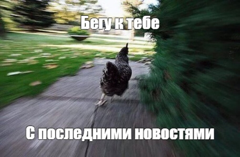 не читать новости9.jpg