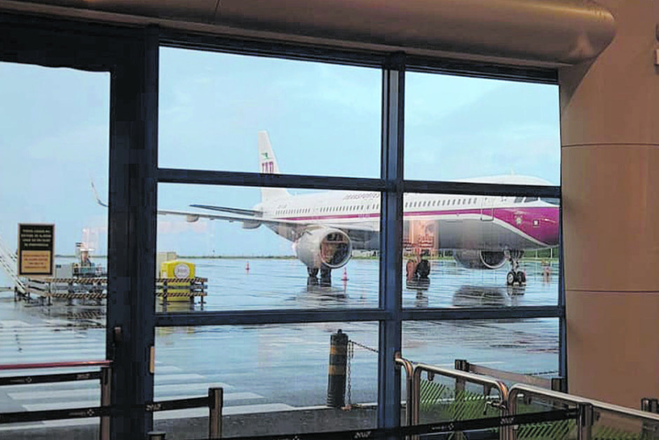 Самолет в Португалии пятые сутки не может улететь из аэропорта из-за побега хомяков (3).jpg