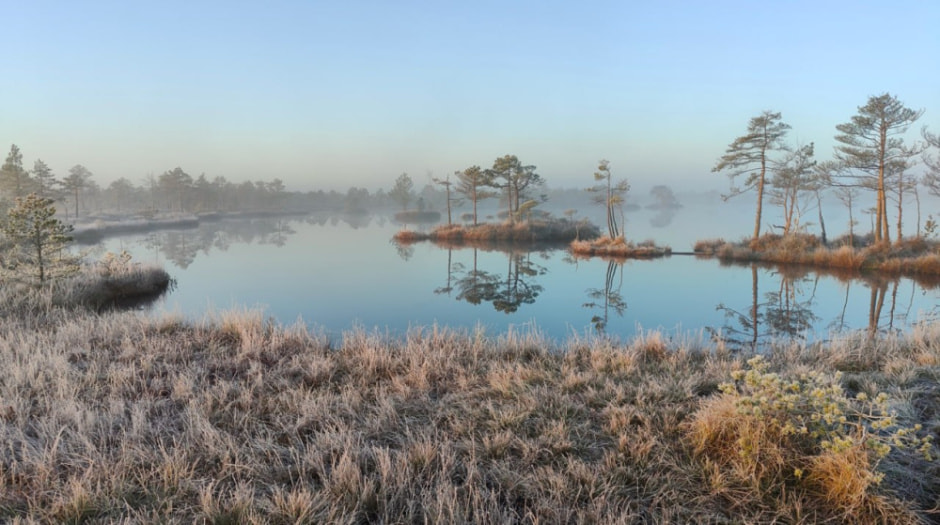 погода-болота-изморозь2.jpg