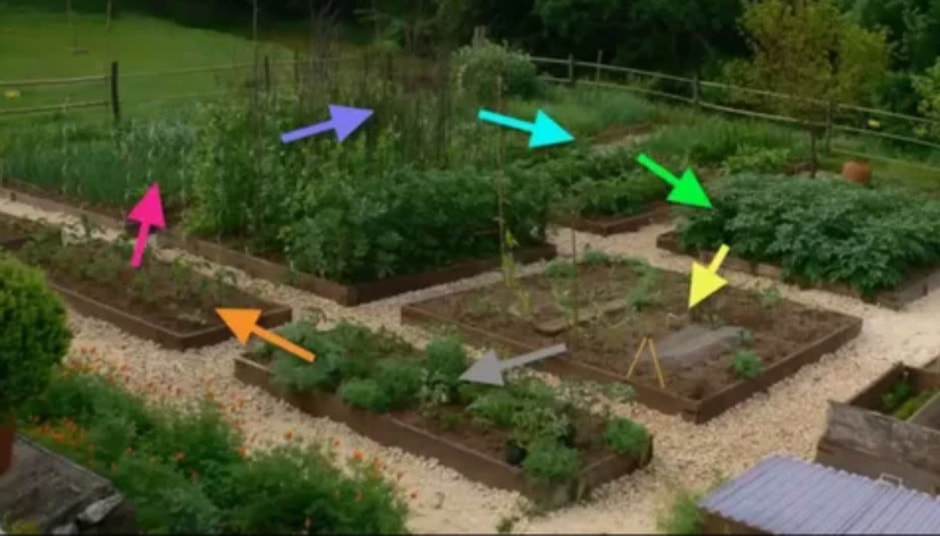 схема грядок