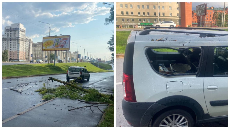 В Минске дерево упало на проезжавший мимо автомобиль — ДТП произошло рядом с проспектом Независимости.jpg
