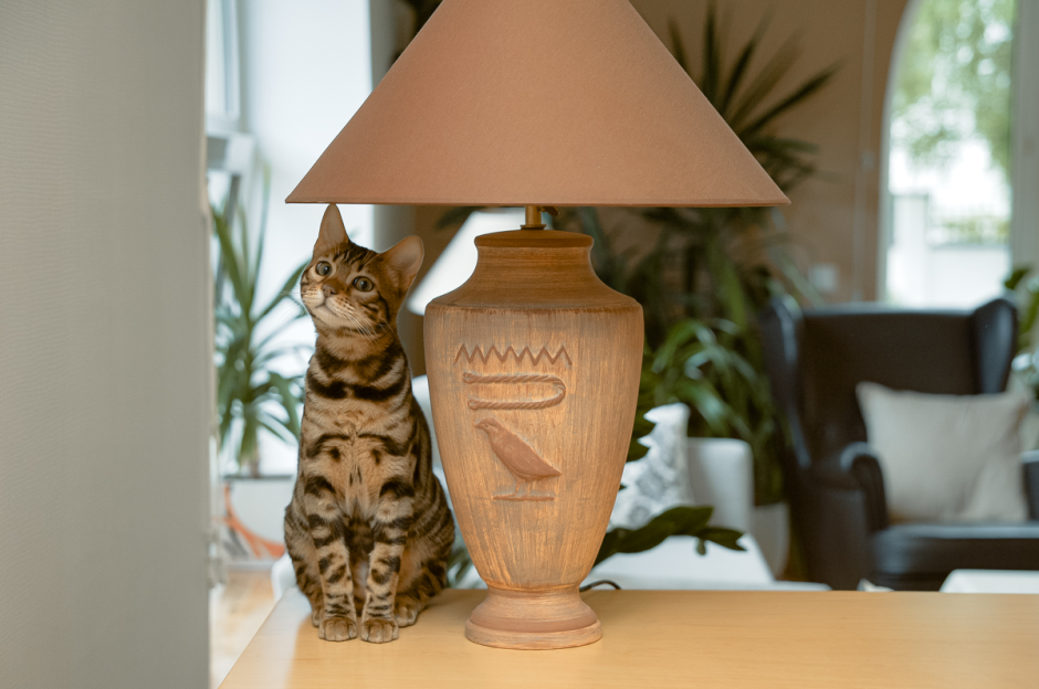 Поверенный в делах Франции Людовик Руайе 25.png