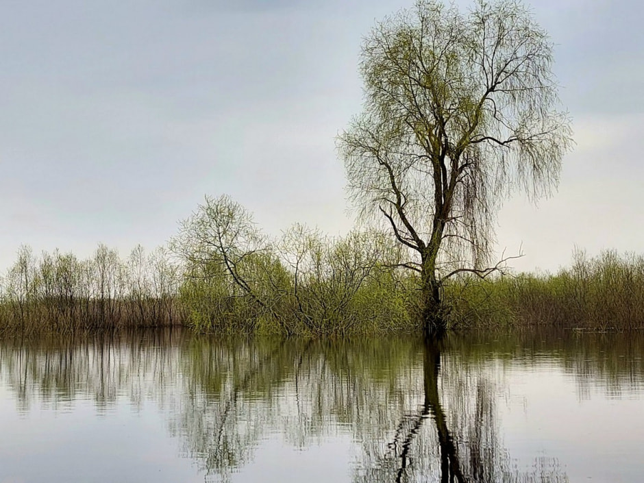 Сплав по морю Геродота 10.jpg Сплав по морю Геродота 10.jpg