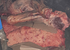 В России уничтожат 1 тонну говядины, которую везли из Беларуси. Что было с мясом?