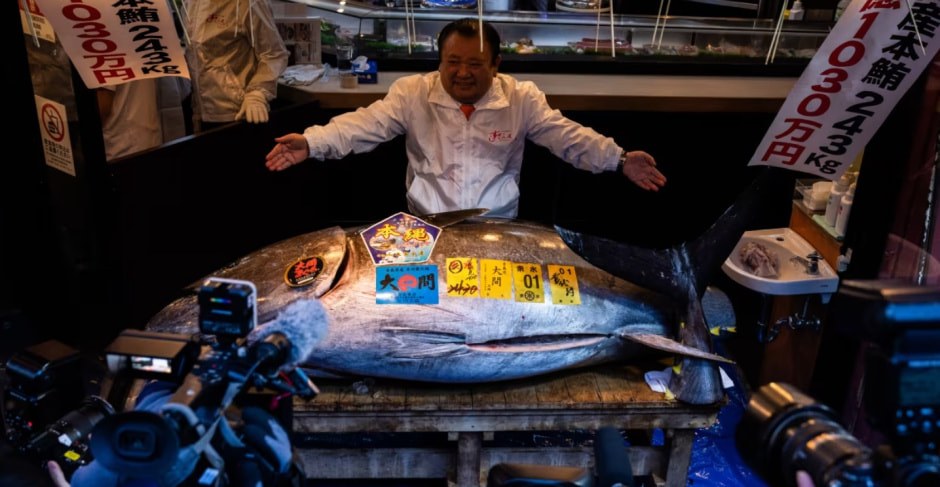 Японский тунец