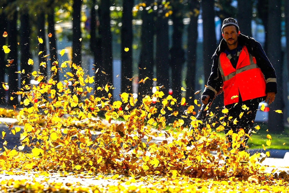 Уборка листвы