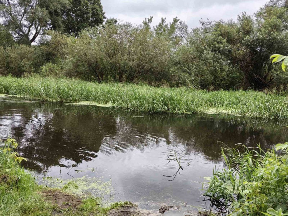 река, борисов.jpg