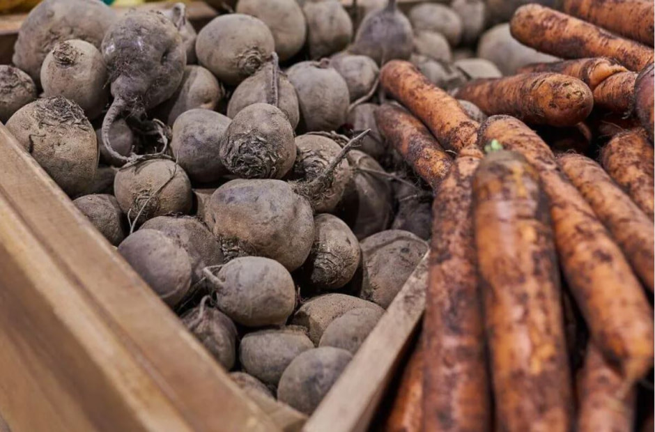 Хранение овощей Хранение овощей