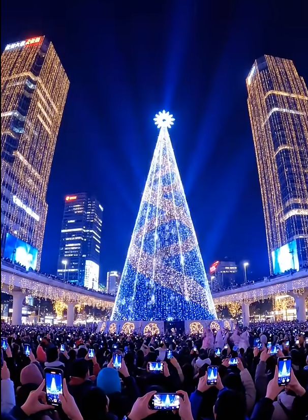 елка-Тайвань