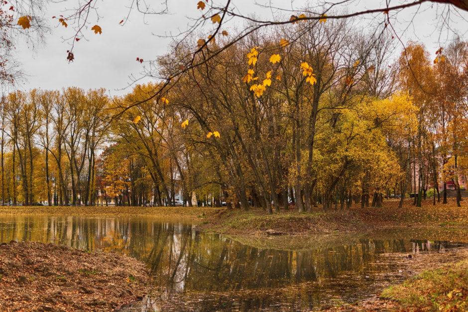 унылая пора