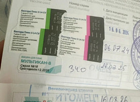 После прививки начали погибать собаки. Что происходит в России с известной вакциной и почему владельцы говорят уже о 300 случаях