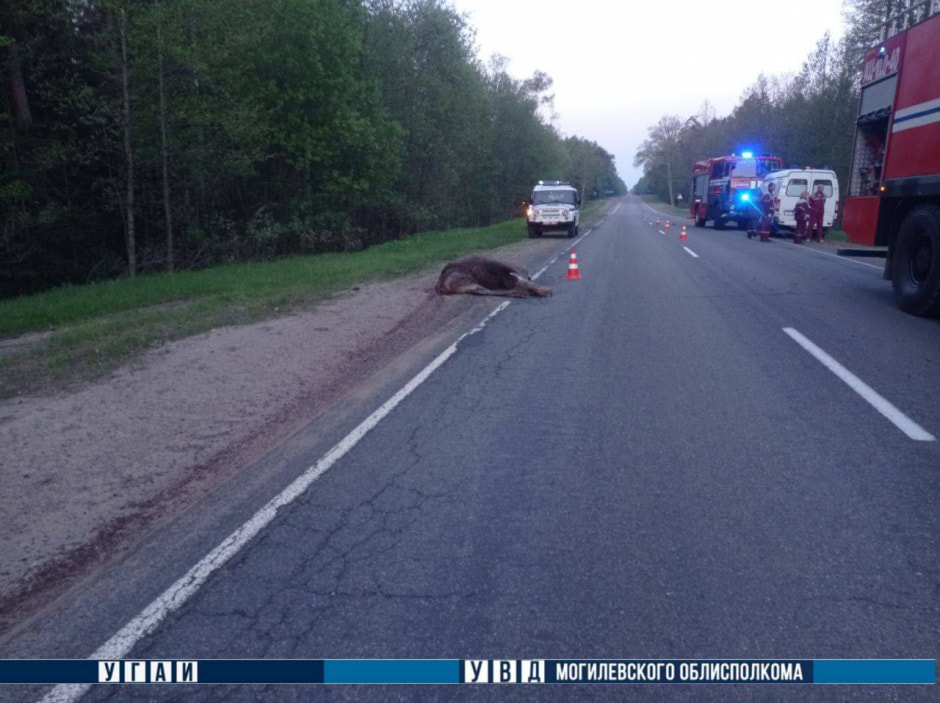 ДТП в Славгородском районе 1.jpg