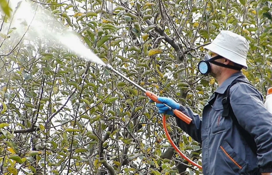 Полив ореха.jpg