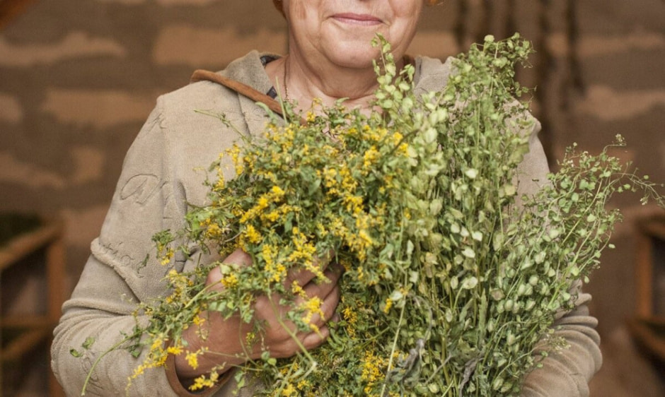 Траволечение в Беларуси 2-1.jpg Траволечение в Беларуси 2-1.jpg