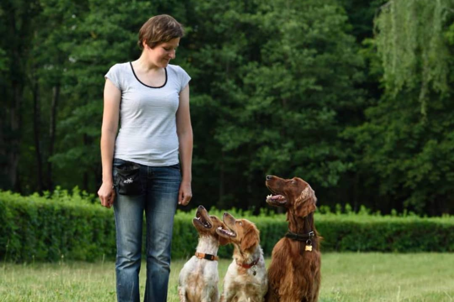 Артадог 2.png