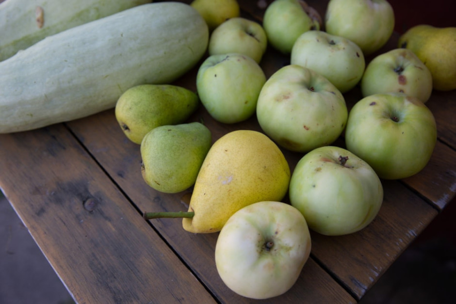 Фермер выращивает 280 сортов винограда 7.jpg