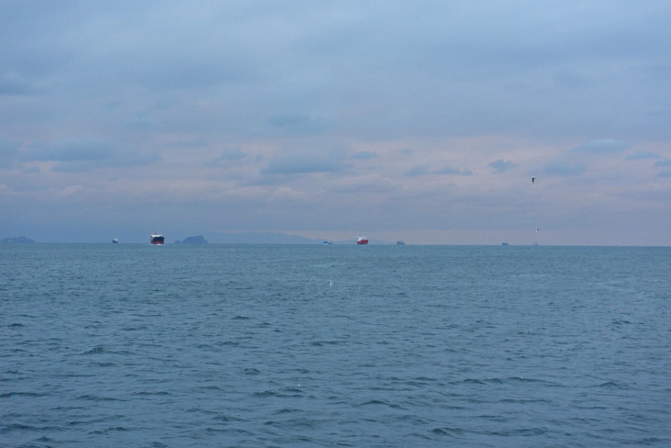 Гуляем по Стамбулу и знакомимся с котами 21.jpg