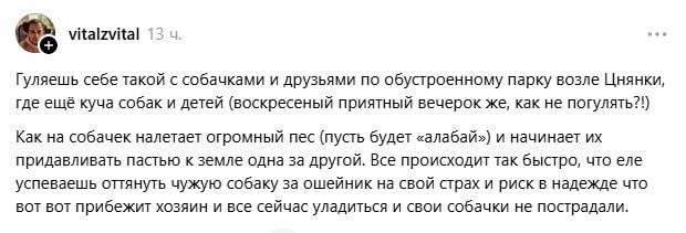 инцидент у Цнянки