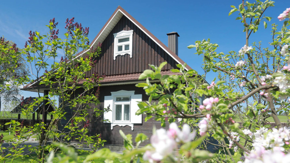 александрия.jpg александрия.jpg