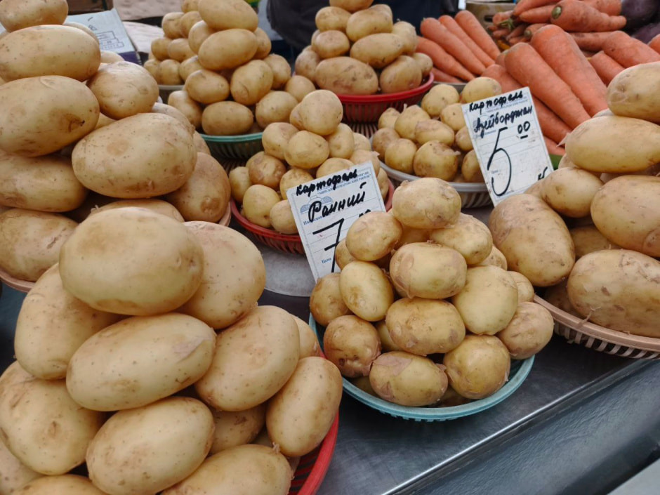 картофель на комаровке2.jpg