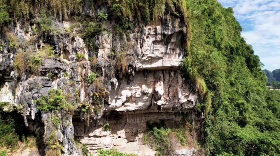 В Индонезии нашли самые древние наскальные рисунки – им 51 000 лет (4).png