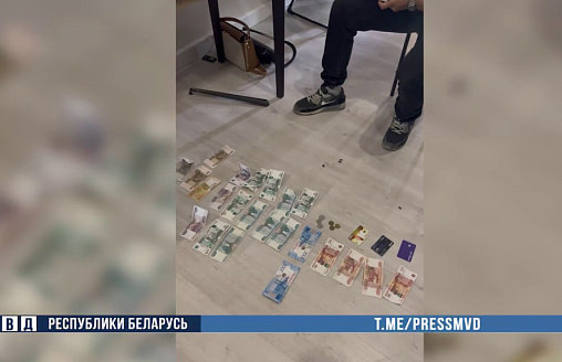 В Могилеве задержали иностранку, пытавшуюся вывезти белоруску в Западную Европу для проституции