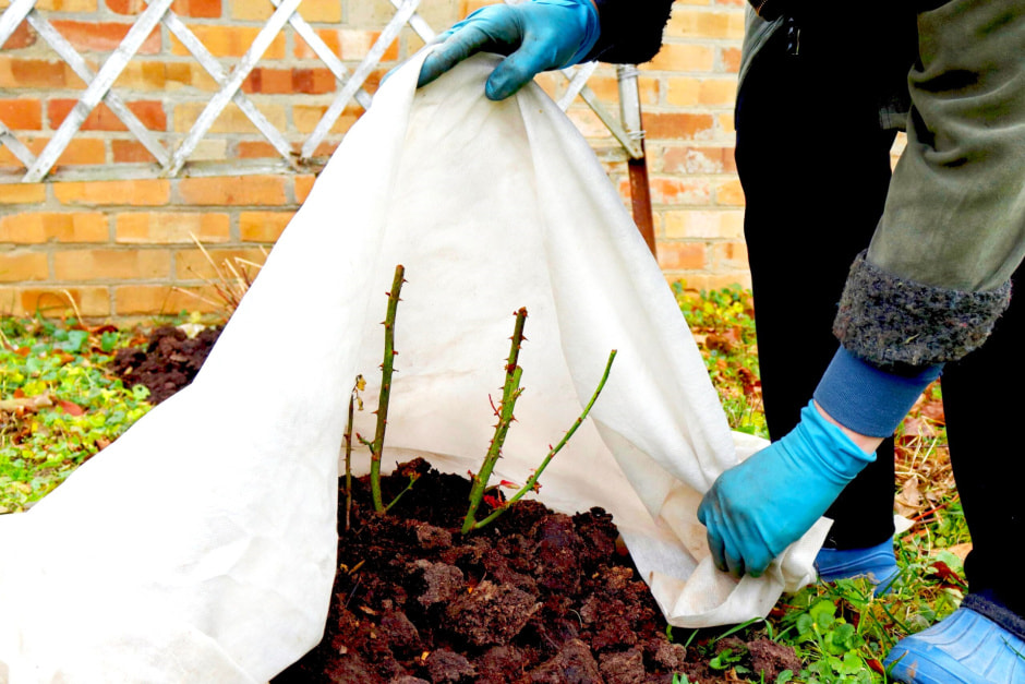 Укрытие растений от заморозков
