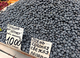 На Комаровском рынке голубика подешевела до 8,90 рубля за килограмм