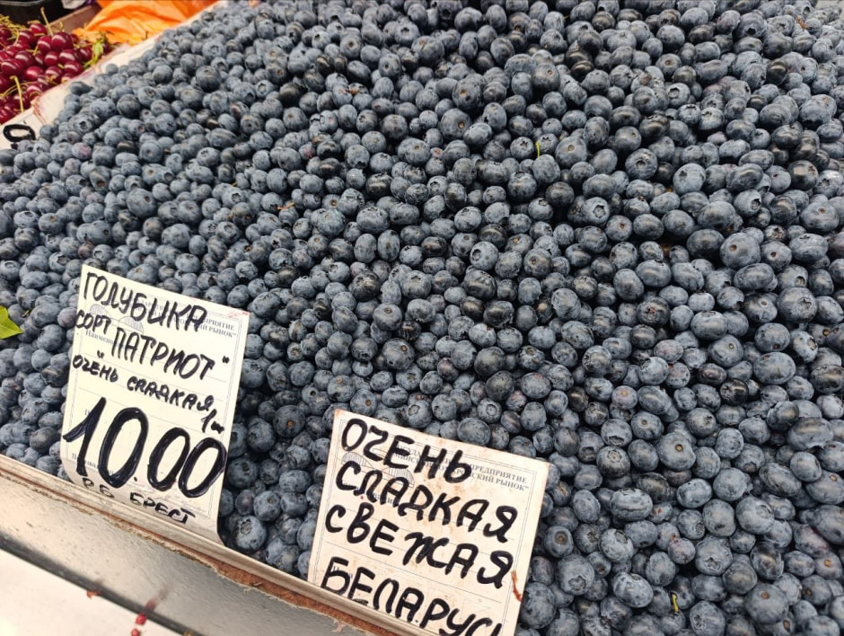 голубика голубика