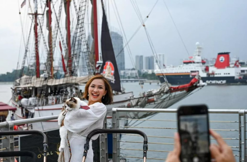 Круиз для кошек .jpg Круиз для кошек .jpg