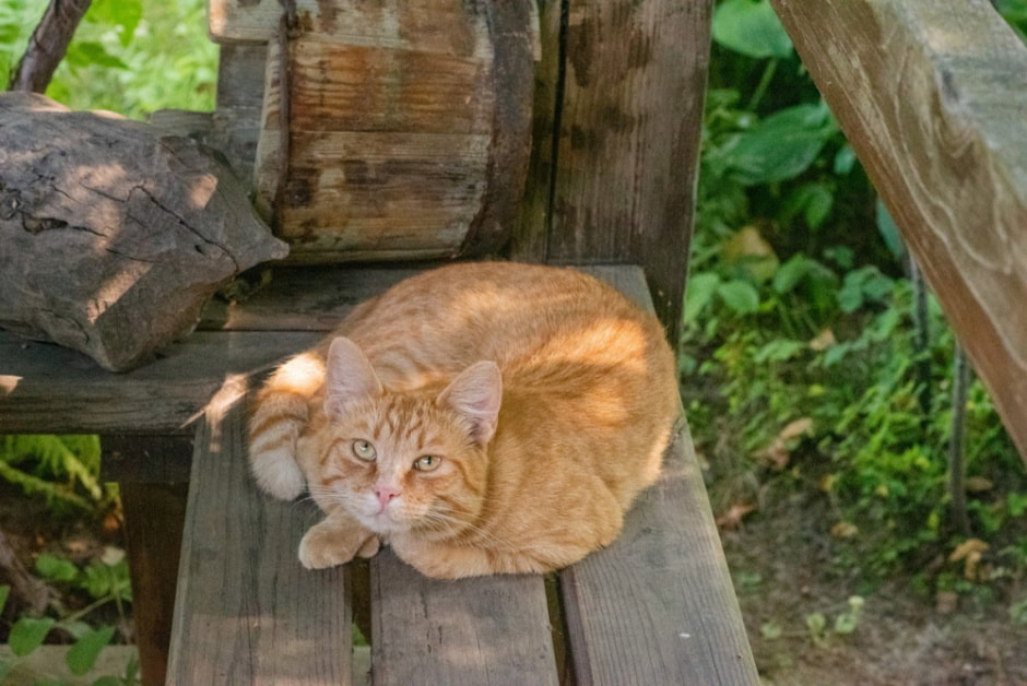 Художник Владимир Цвирко и его путешествия по Беларуси 8.jpg