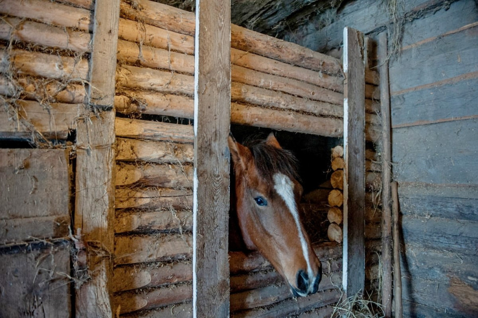 Туристическая деревня Белые луга 20.jpg