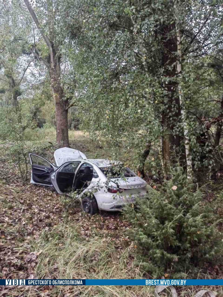 Под Малоритой Lada врезалась в дерево – погиб пассажир (2).jpg
