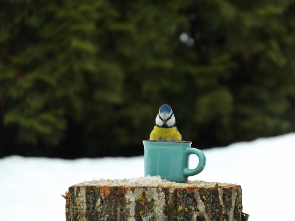 Ольга Шугалевская 13.JPG