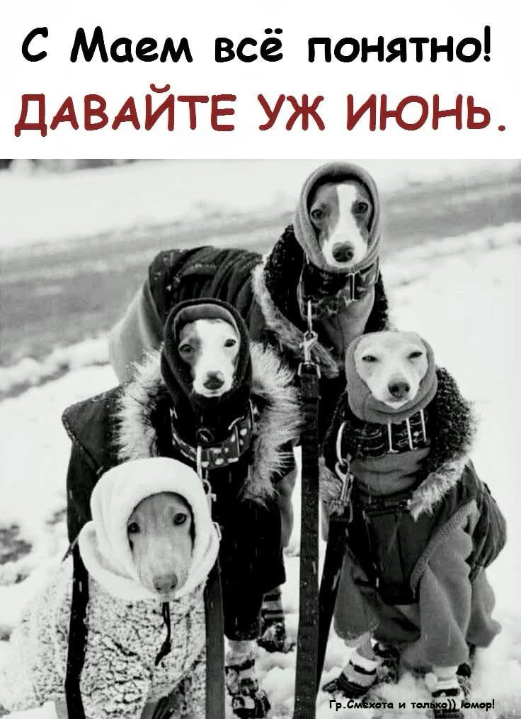 Мемы майские холода