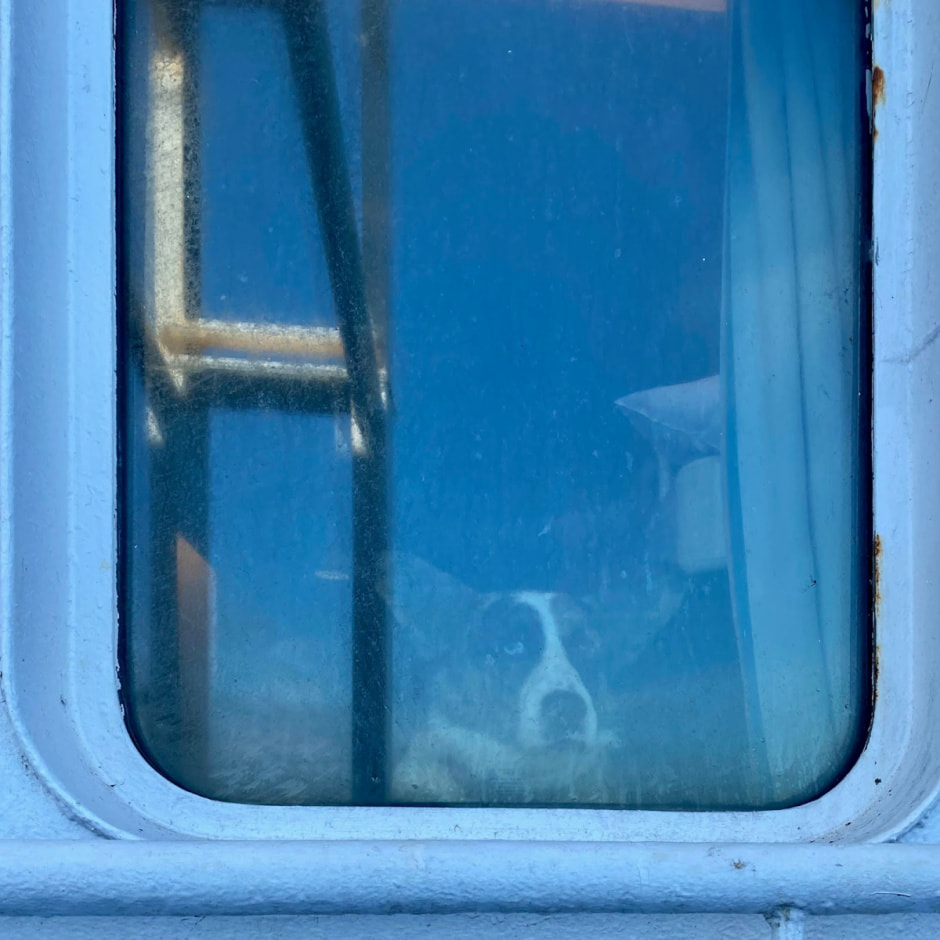 Путешествие с собакой 9.jpg