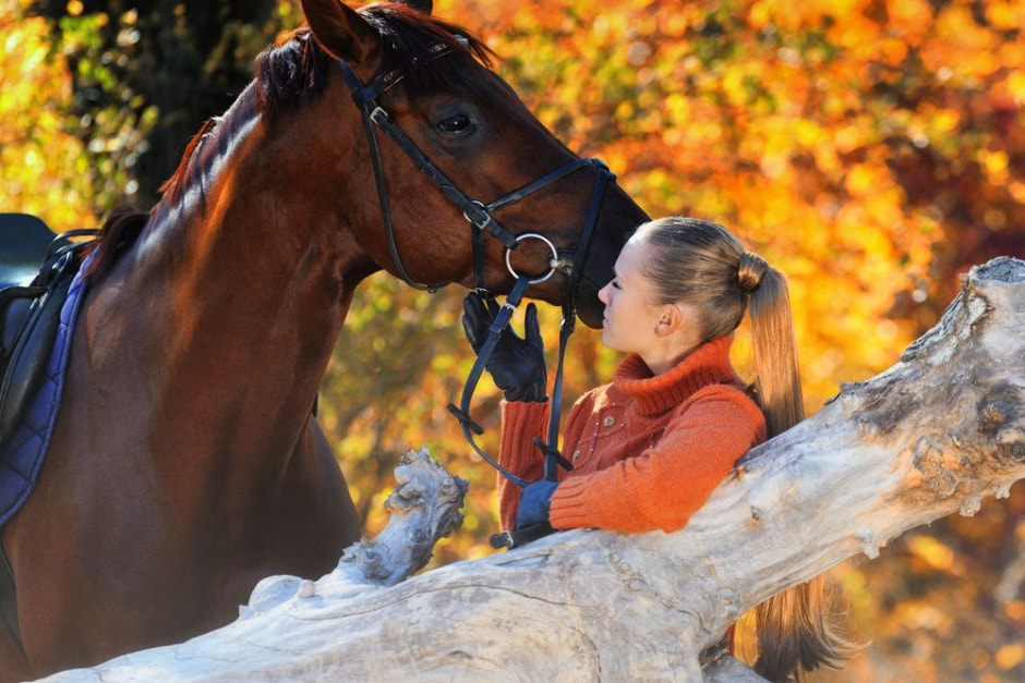 прогулка на лошади (2).jpg