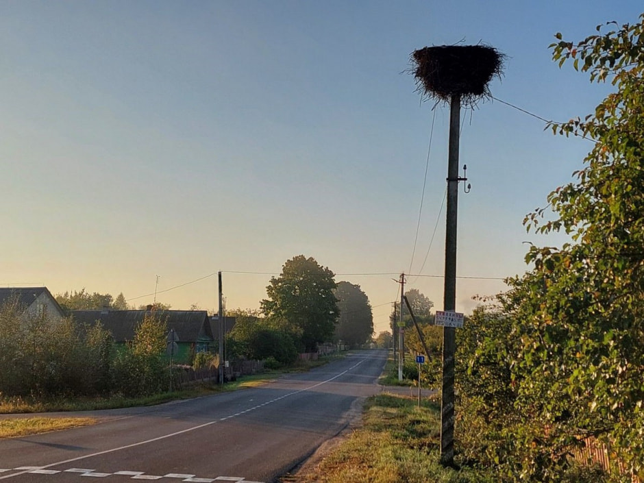 Аист в детском саду 14.jpg