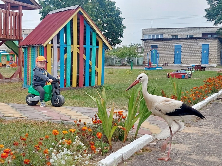 Буся для врезки.jpg