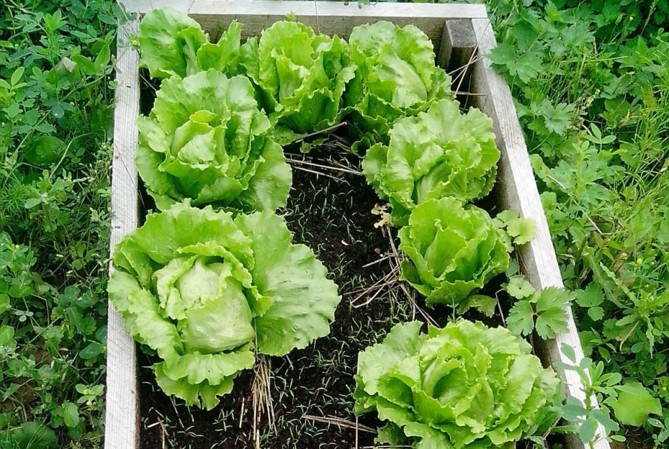 photo_2025-06-06_21-01-21 (2).jpg