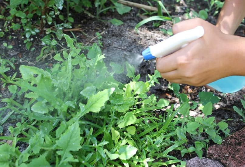 photo_2024-11-29_18-31-46 (3).jpg photo_2024-11-29_18-31-46 (3).jpg