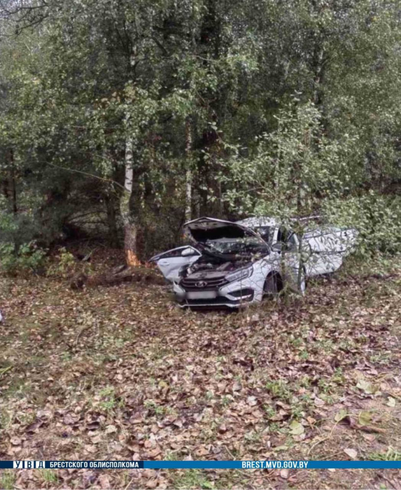 Под Малоритой Lada врезалась в дерево – погиб пассажир.jpg