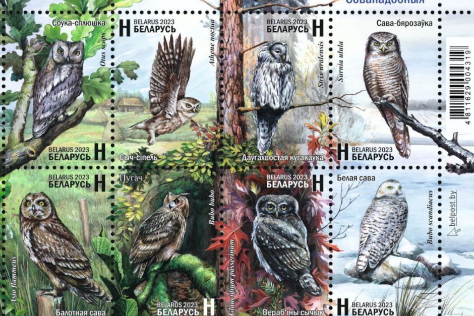 марки совы.png