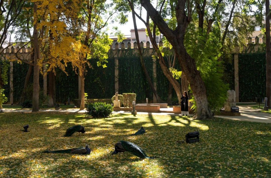 Что посмотреть в Севилье 2025 16.jpg