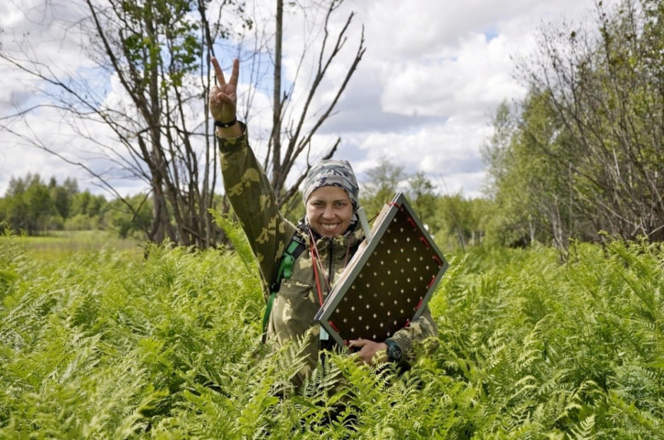 Травяные сборы в Беларуси 1_Алеся Кручонок.jpg